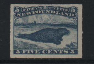 Newfoundland #40 XF Mint