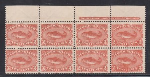 Newfoundland #48b NH Mint Plate Block Of Eight