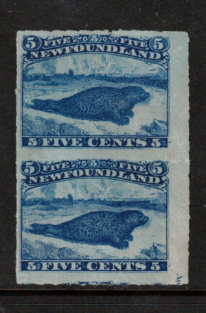 Newfoundland #40 VF/NH Pair **With Certificate**