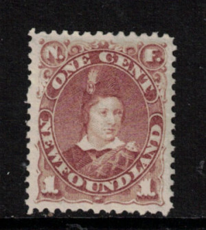 Newfoundland #41 Extra Fine Never Hinged **With Certificate**