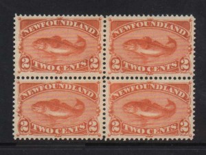 Newfoundland #48 XF/NH Block  **With Certificate**