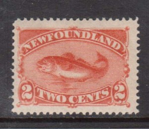 Newfoundland #48 XF/NH Gem **With Certificate**