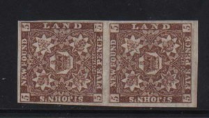 Newfoundland #19 XF/NH Showpiece Pair With Certificate