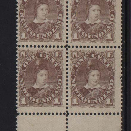 Newfoundland #41 VF/NH Rare Block  **With Cert.**