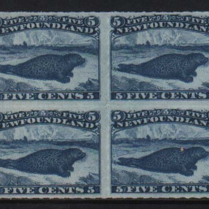Newfoundland #40 XF/NH Block  **With Certificate**