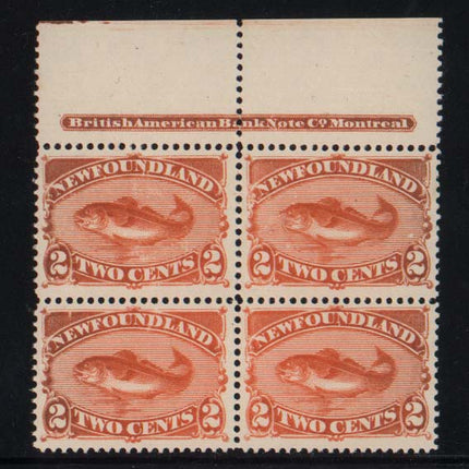 Newfoundland #48 XF/NH Plate Block Of Four
