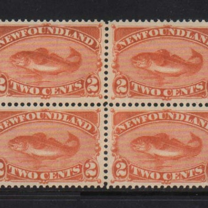 Newfoundland #48 XF/NH Block  **With Certificate**