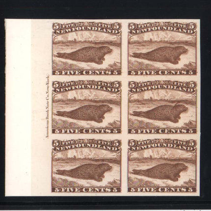 Newfoundland #25Piii XF Mint Imperf Proof Plate Block