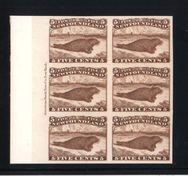 Newfoundland #25Piii XF Mint Imperf Proof Plate Block