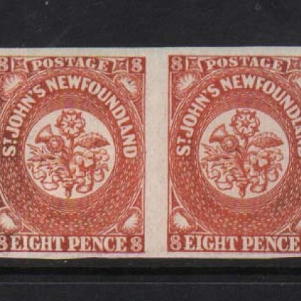 Newfoundland #8 XF/NH Pair  **With Certificate**