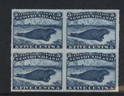 Newfoundland #40 XF Mint Rare Block  **With Certificate**
