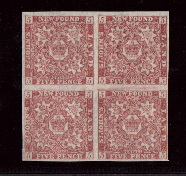 Newfoundland #19a VF/NH Block  **With Certificate**