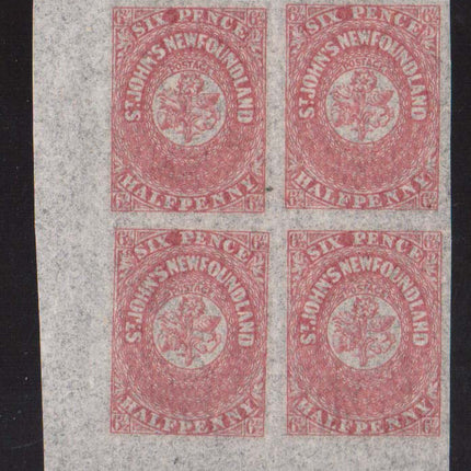 Newfoundland #21 XF/NH Corner Block