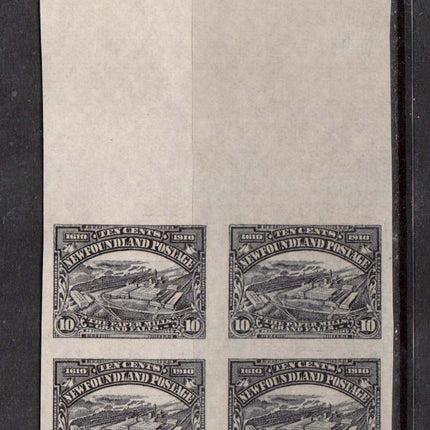 Newfoundland #101a XF/NH Upper Margin Imperf Block
