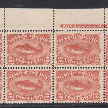Newfoundland #48b NH Mint Plate Block Of Eight