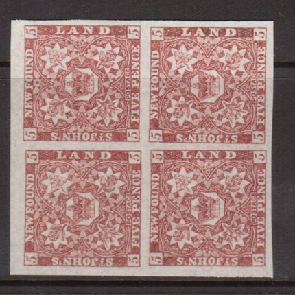 Newfoundland #19a XF Mint Block **With Certificate**