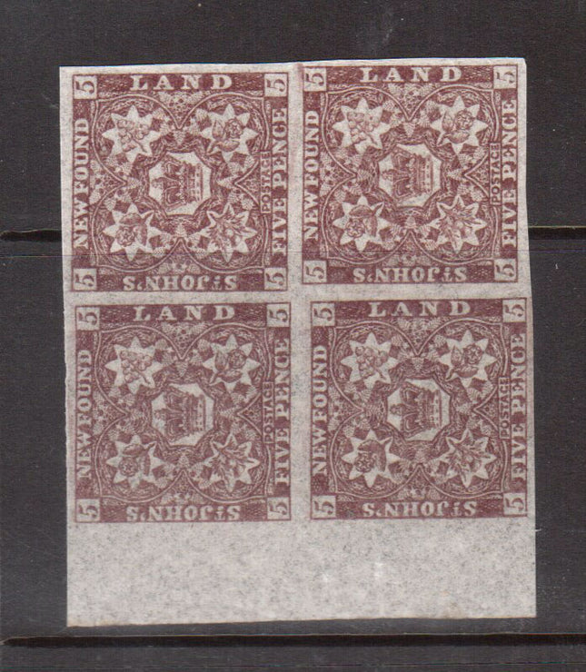 Newfoundland #19b XF/NH Block **With Certificate**
