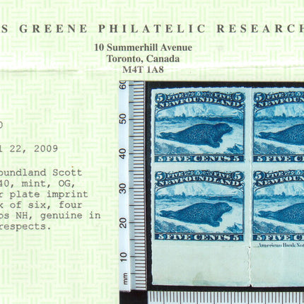 Newfoundland #40 XF Mint Plate Block Of Six **With Certificate**