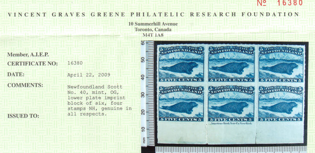 Newfoundland #40 XF Mint Plate Block Of Six **With Certificate**