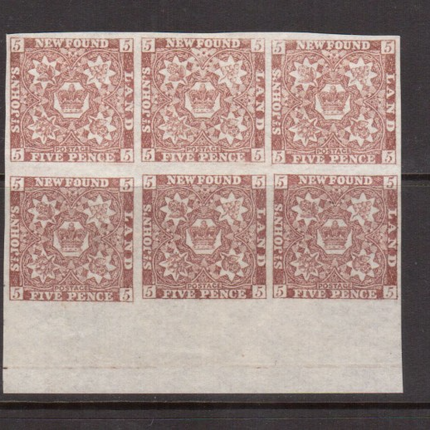 Newfoundland #19 XF Mint Lower Margin Block Of Six **With Certificate**