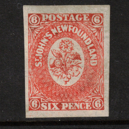 Newfoundland #13 XF Mint **With Certificate**