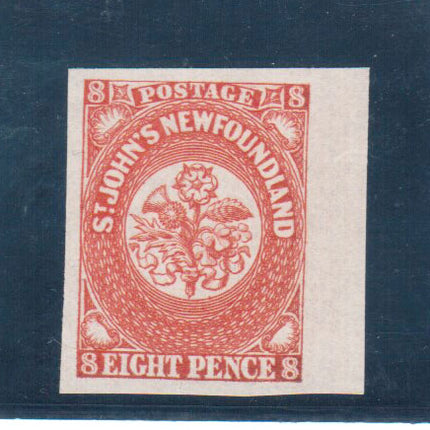 Newfoundland #8 XF/NH Gem **With Certificate**