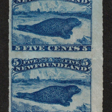 Newfoundland #40 VF/NH Pair **With Certificate**