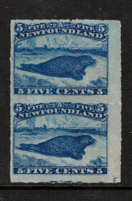 Newfoundland #40 VF/NH Pair **With Certificate**